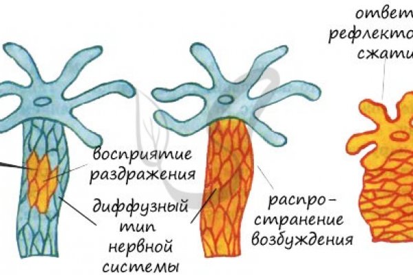 Омг смылка